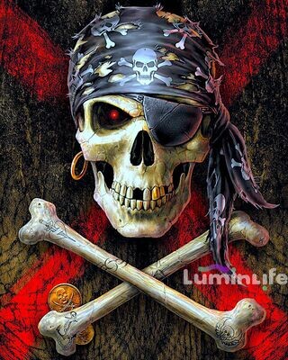 Kit Broderie Diamant, Diamond Painting - Top Pirate - DN31 Kit Broderie Diamant, Diamond Painting - Top Pirate - DN31
