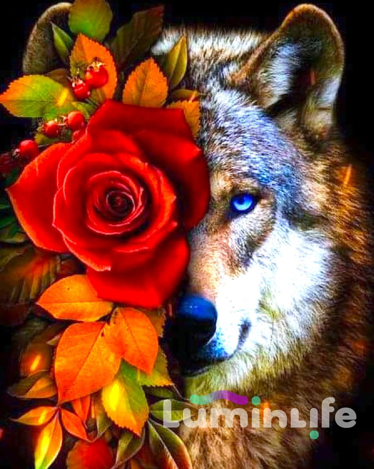 Broderie Diamant 100% -Loup et rose Broderie Diamant 100% -Loup et rose