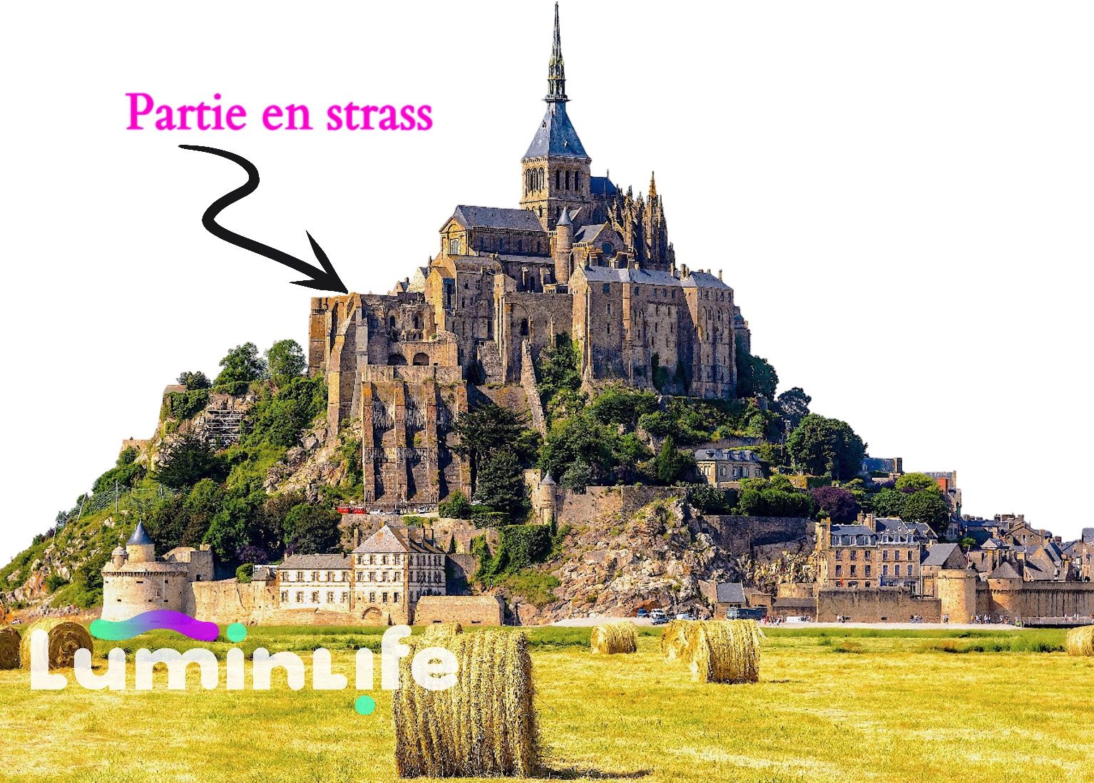 Broderie Diamant 5D -Mont St Michel