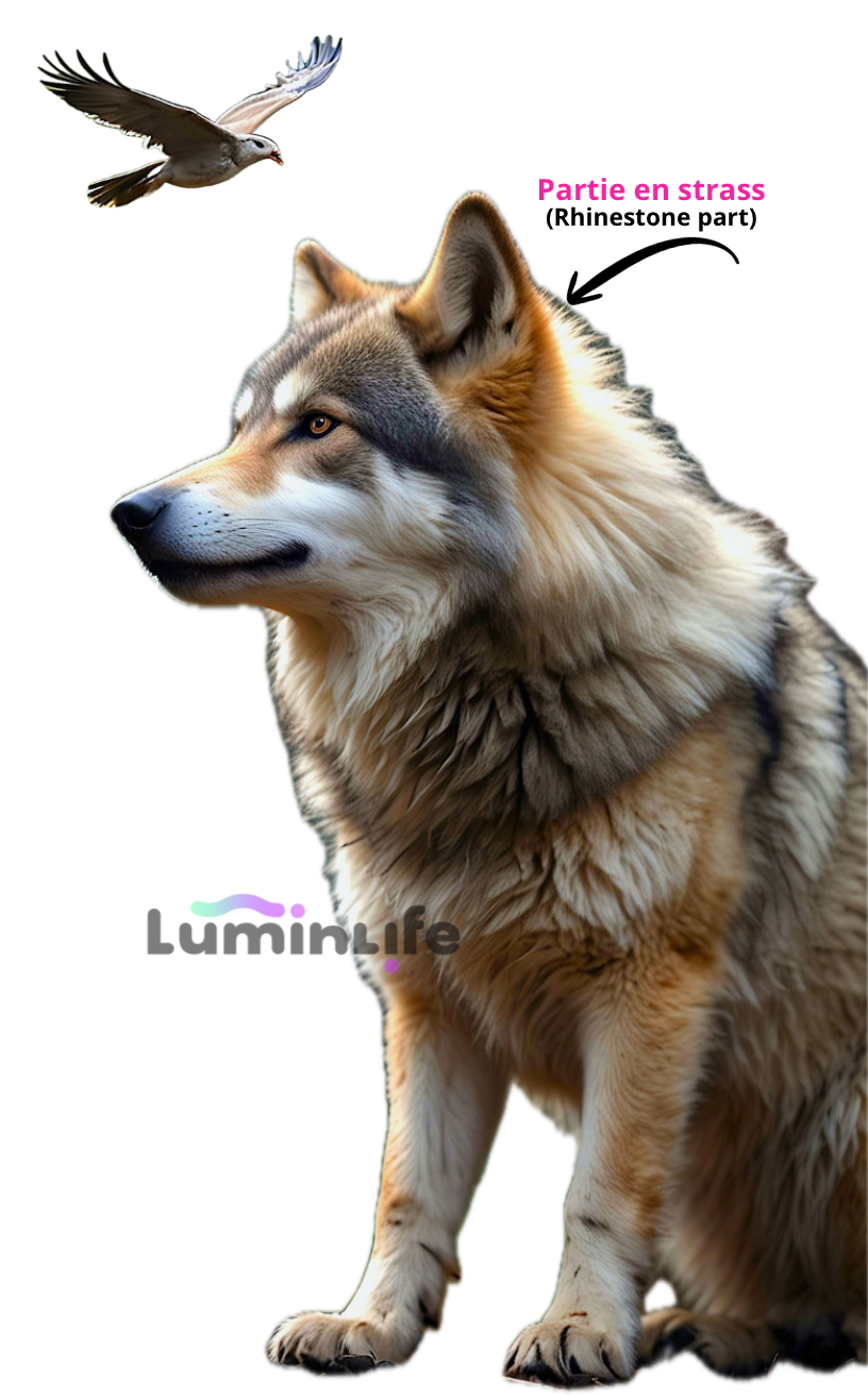 Broderie Diamant 5D -Loup et oiseau