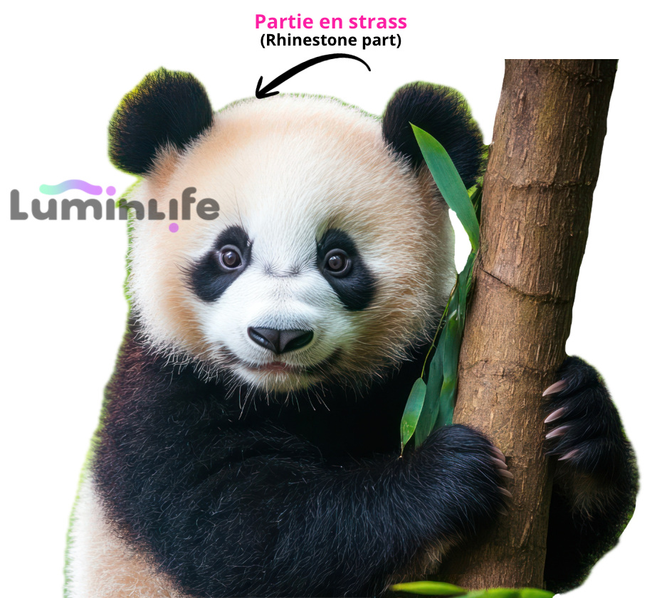 Broderie Diamant 5D -Panda