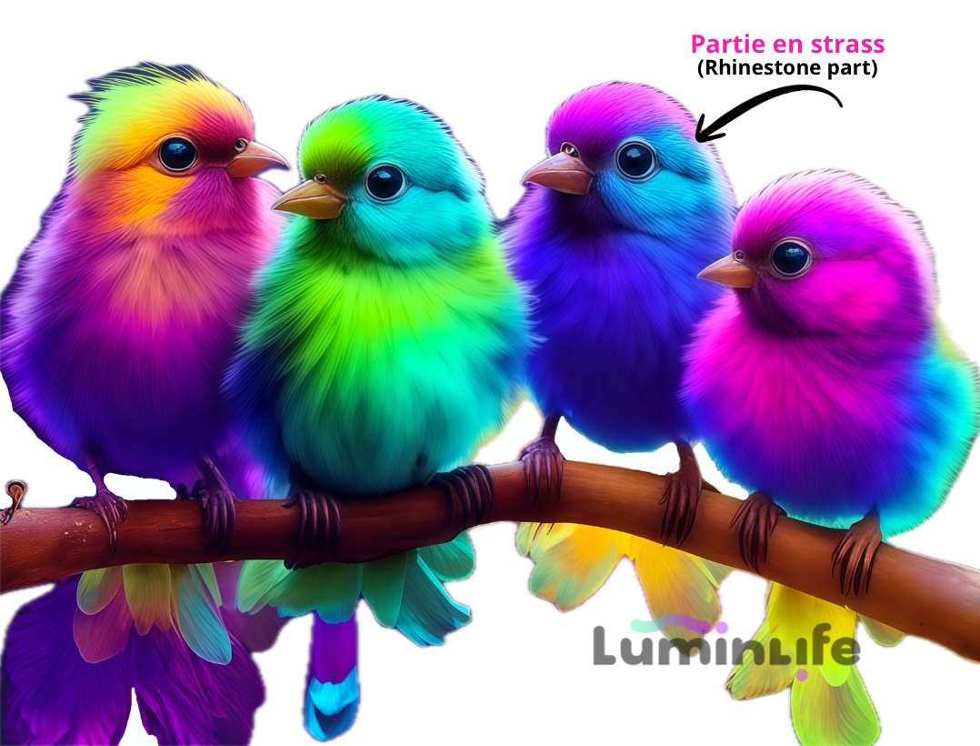 Broderie Diamant 5D -Oiseaux colorés