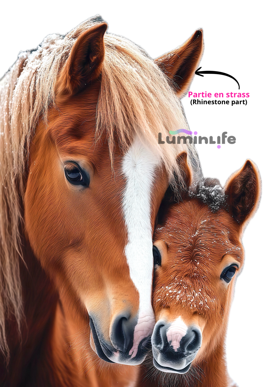 Broderie Diamant 5D -Cheval et poulain
