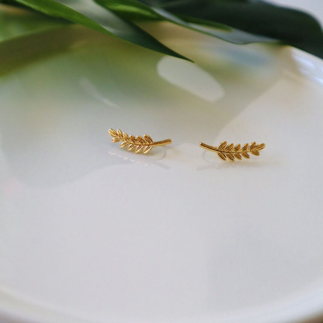 Ear Cuff Ramo de Louros