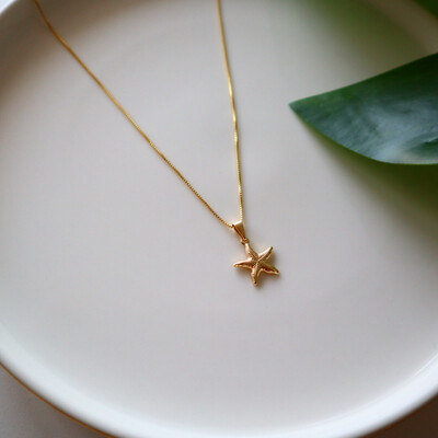 Colar Delicado Estrela do Mar