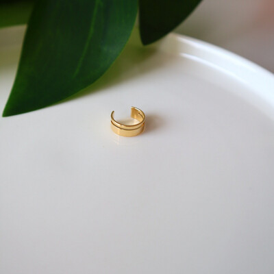 Piercing Fake Liso