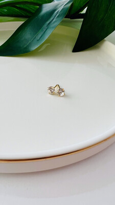 Brinco Ponto de Luz Clássico