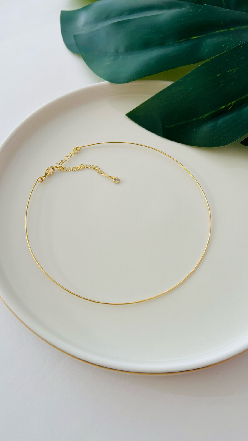 Colar Choker Rígido