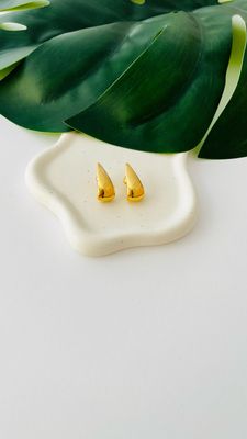 Brinco Ear Hook Gota