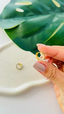 Argolinha Caracol