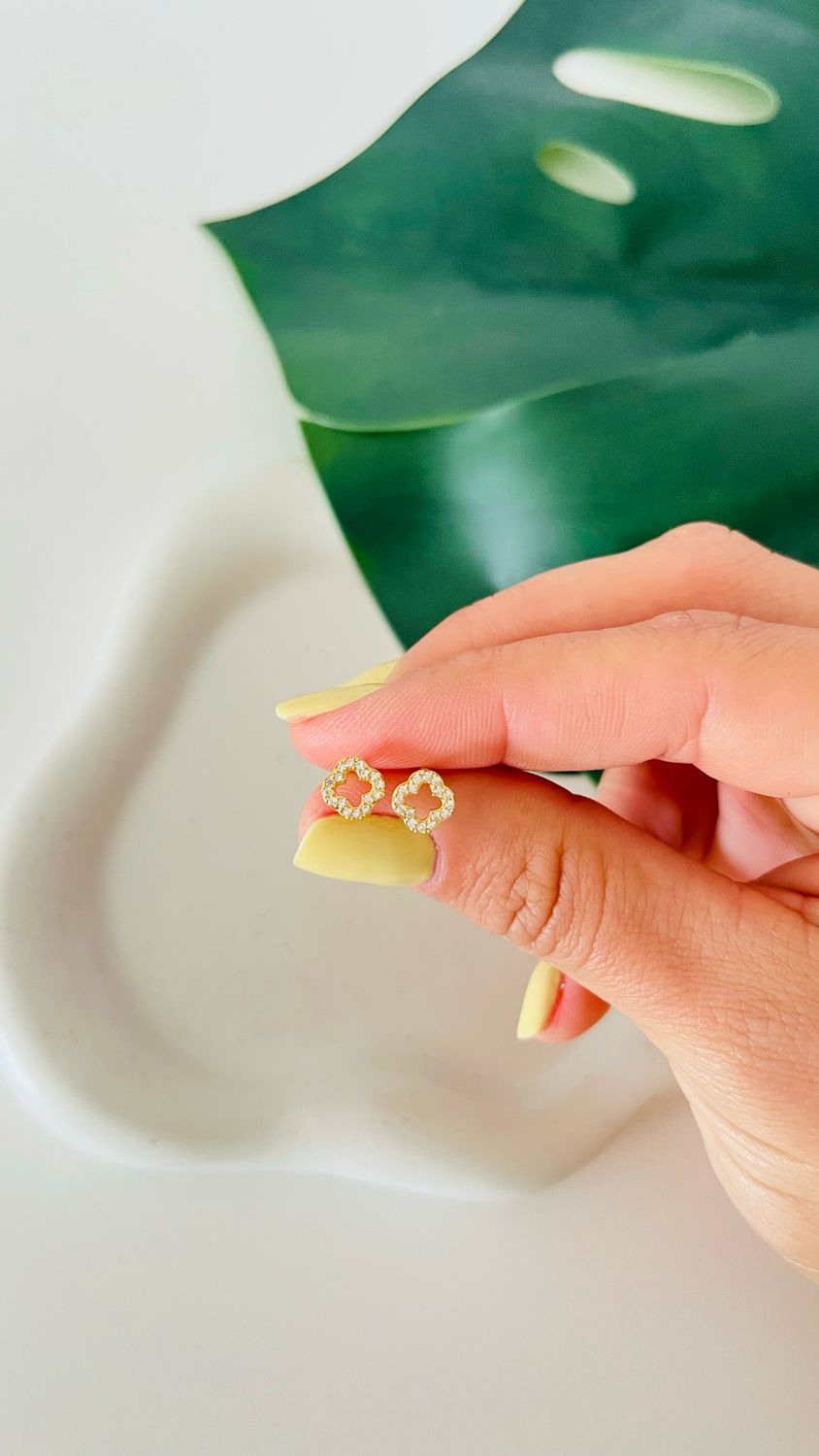 Brinco Flor Vazada Dalicada