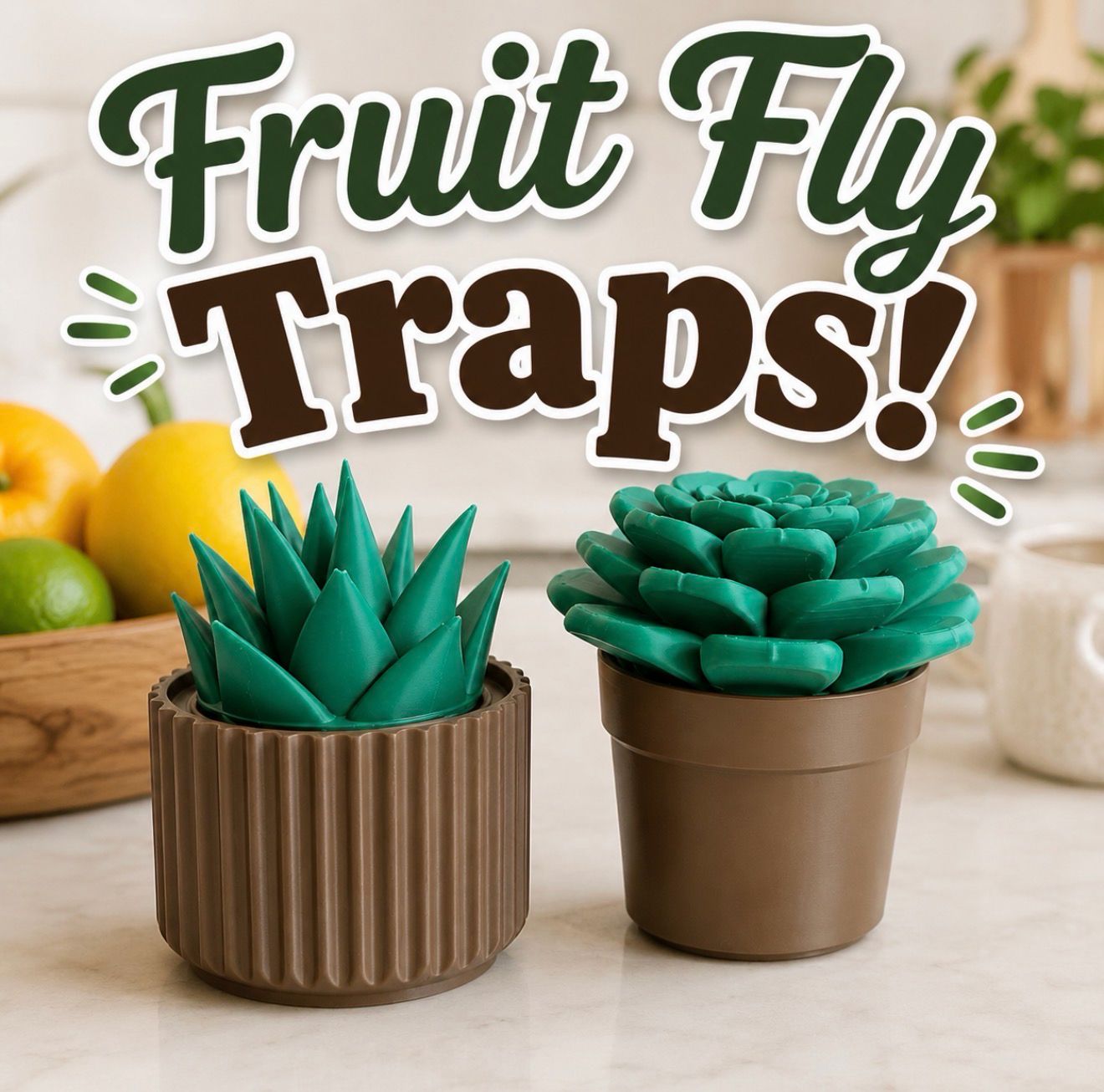 3D Printed Fruit Fly Trap | Faux Succulent