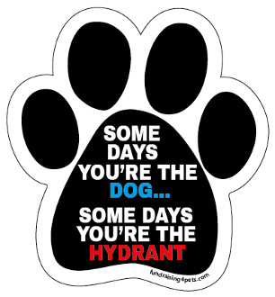 Some Days You're The Dog Magnet