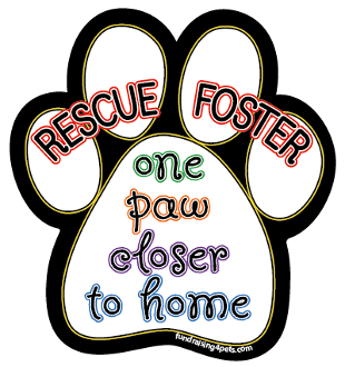 One Paw Closer to Home Paw Print Magnet​