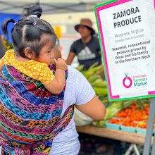 For 1 family in need: a week's supply of fresh fruits and vegetables