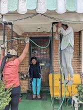 A garden hose for a DC Natives garden designed to attract pollinators to our region