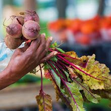 For 12+ homebound seniors in need: 4 market produce boxes delivered