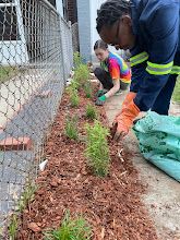 Five bags of mulch for a DC Natives garden designed to attract pollinators to our region