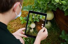 eTablet for youth and adults to identify and document biodiversity at the park