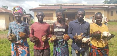 Two chickens and a coop for a family farm