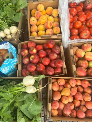 One month of produce for a family