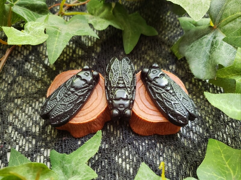 Cicada Wax Melt Set