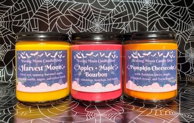 Container candle bundle (3 pack)