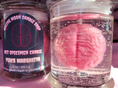 Brain Wet Specimen Gel Candle