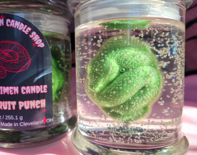 Snake Wet Specimen Gel Candle