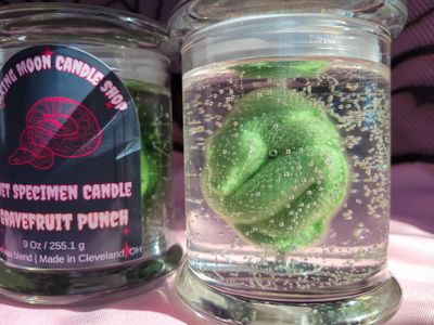 Snake Wet Specimen Gel Candle