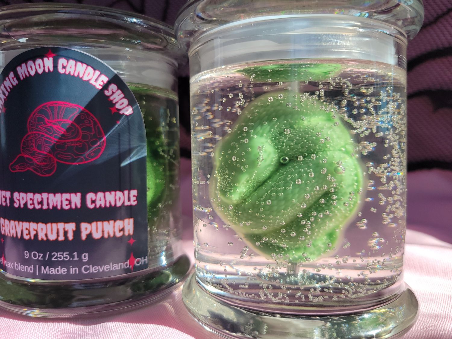 Snake Wet Specimen Gel Candle