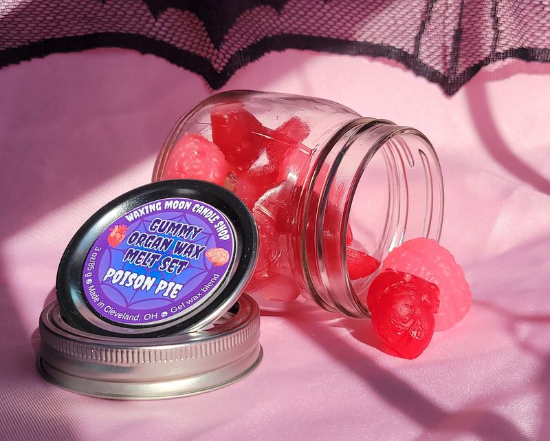 Gummy Organ Wax Melt Set