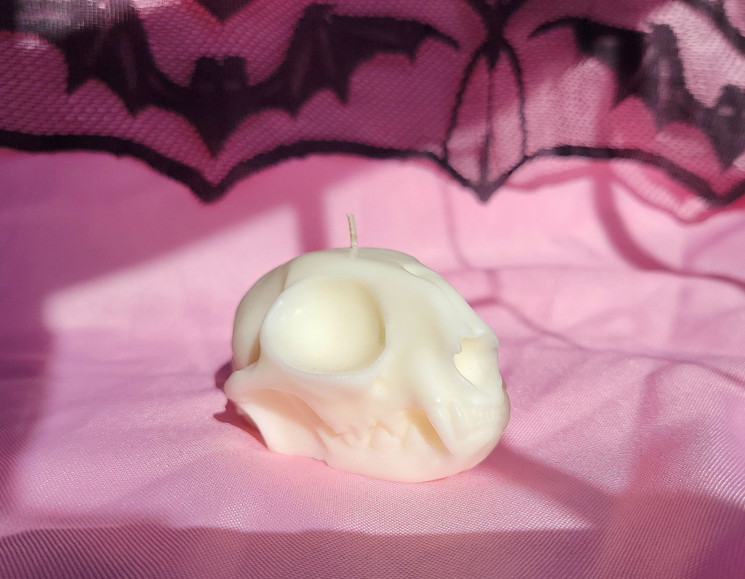 Cat Skull Candle