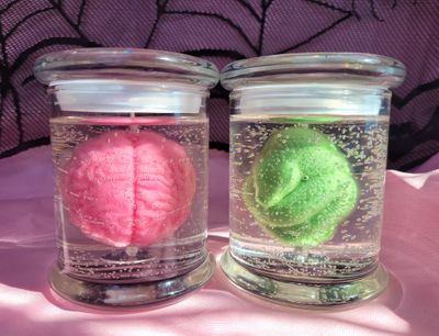 💀The Oddities Collection💀