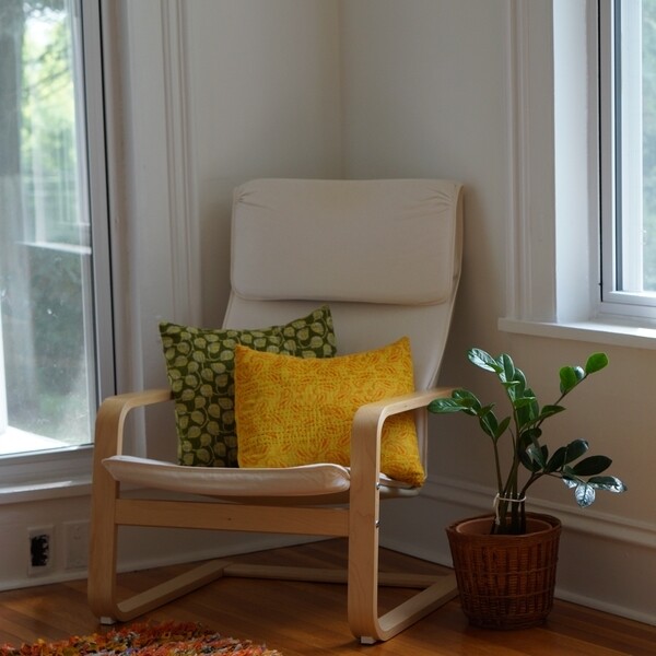 Sari Pillow Cover Set