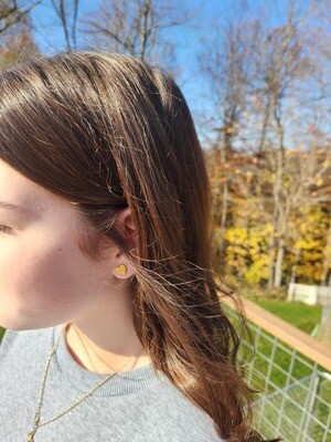 Heart Stud Earrings - A5