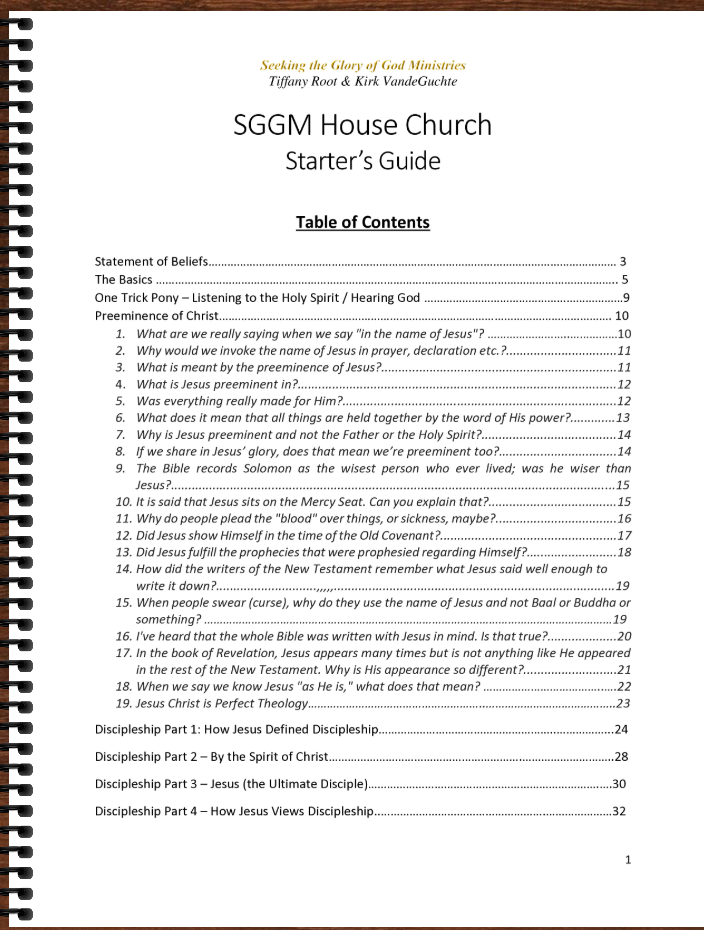 House Church Starters Guide - B12