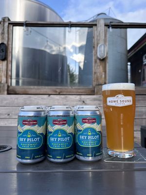 Sky Pilot Pale Ale 6pk