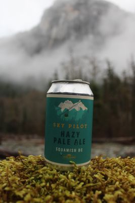 Sky Pilot Pale Ale 6pk