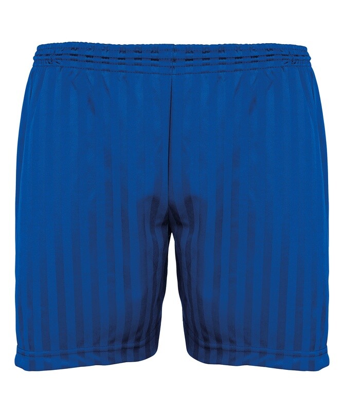 Shadow Stripe Shorts