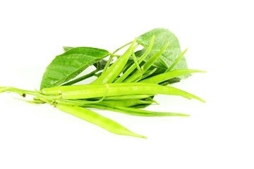 cluster bean
