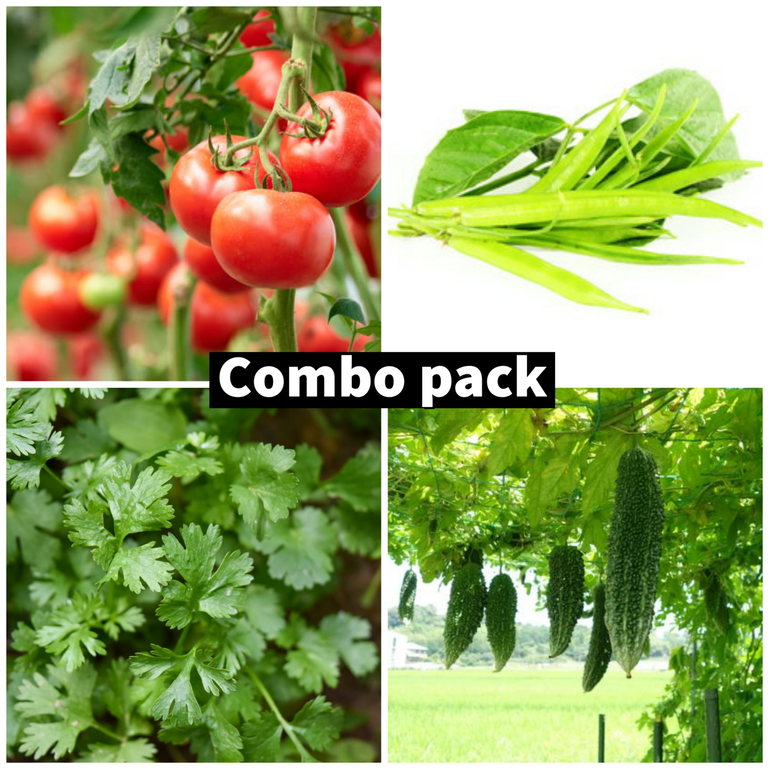 Vegetables seeds combo