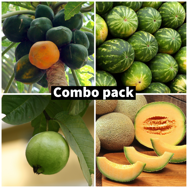 Fruits seeds combo