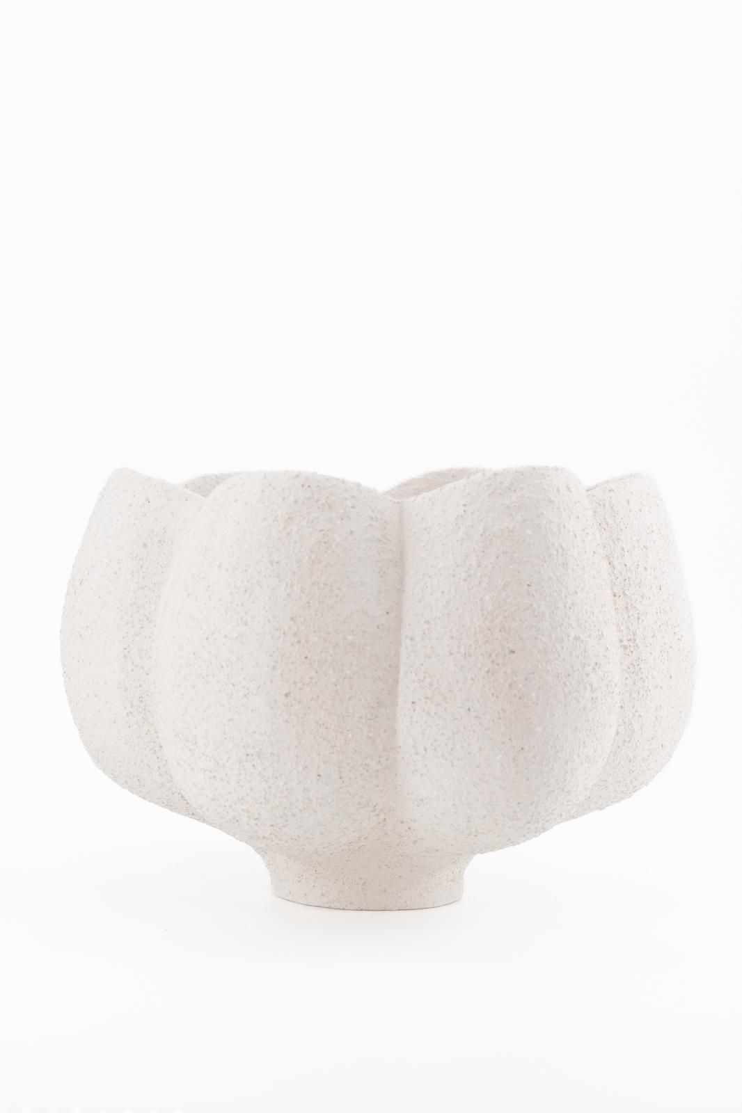 NARCISSUS SCULPTURAL SERIES