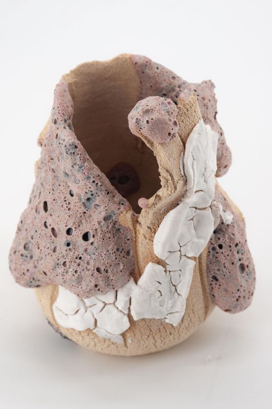 VOLCÁNICO PINK SMALL