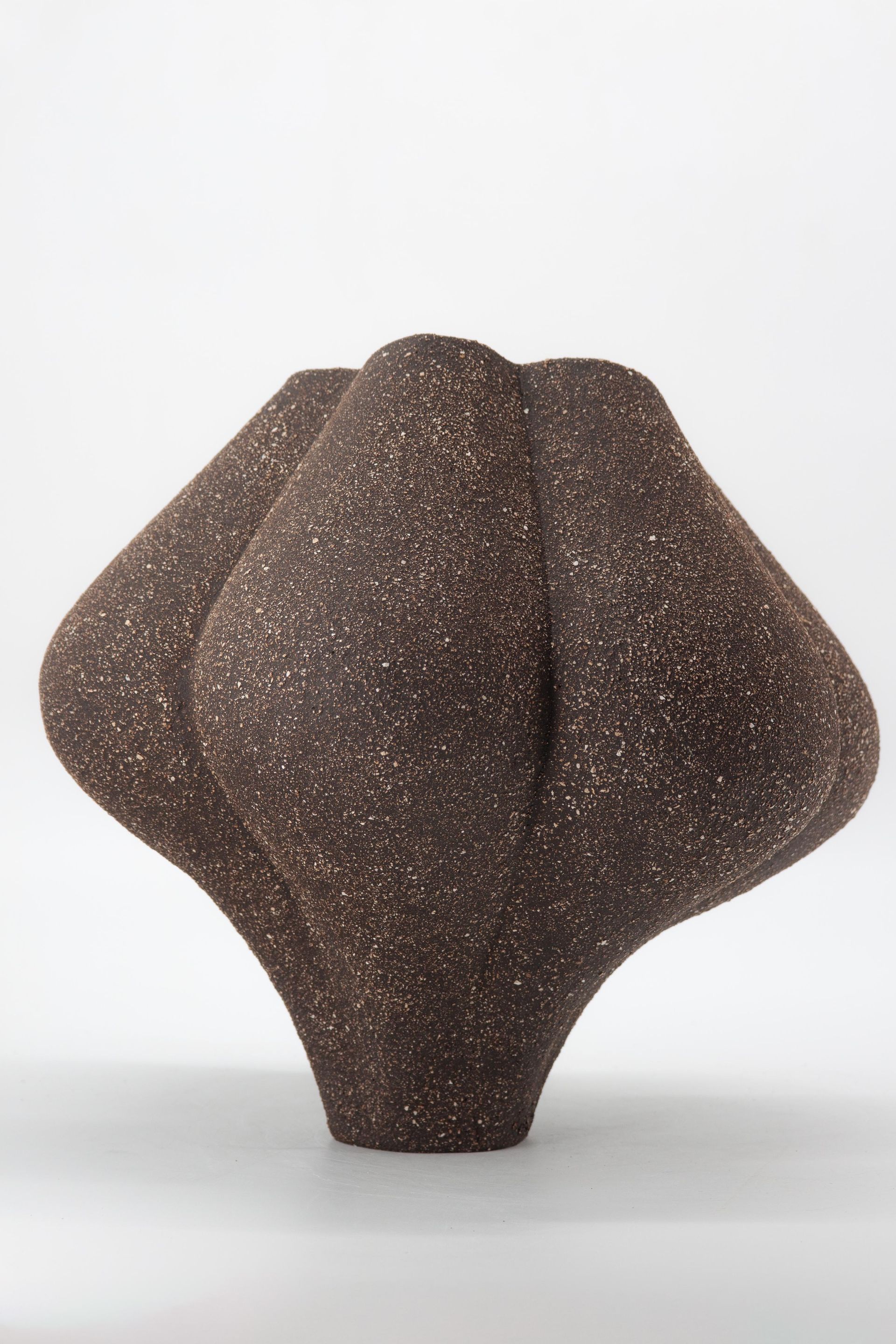 NARCISSUS SCULPTURAL BLACK