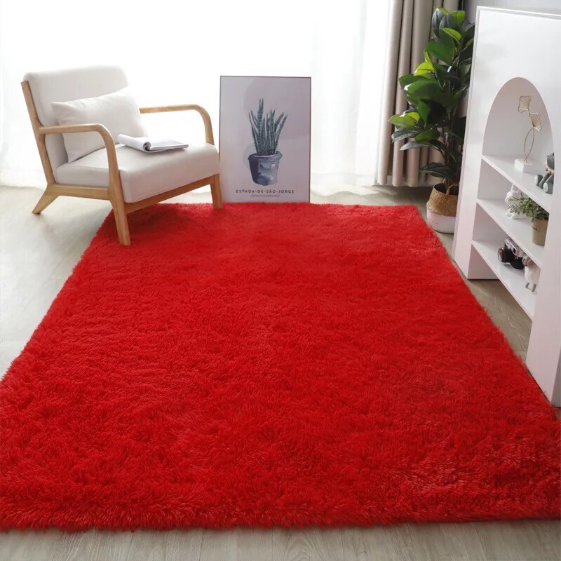 Fluffy Area Rug