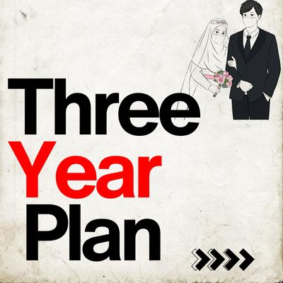 Three Year Plan