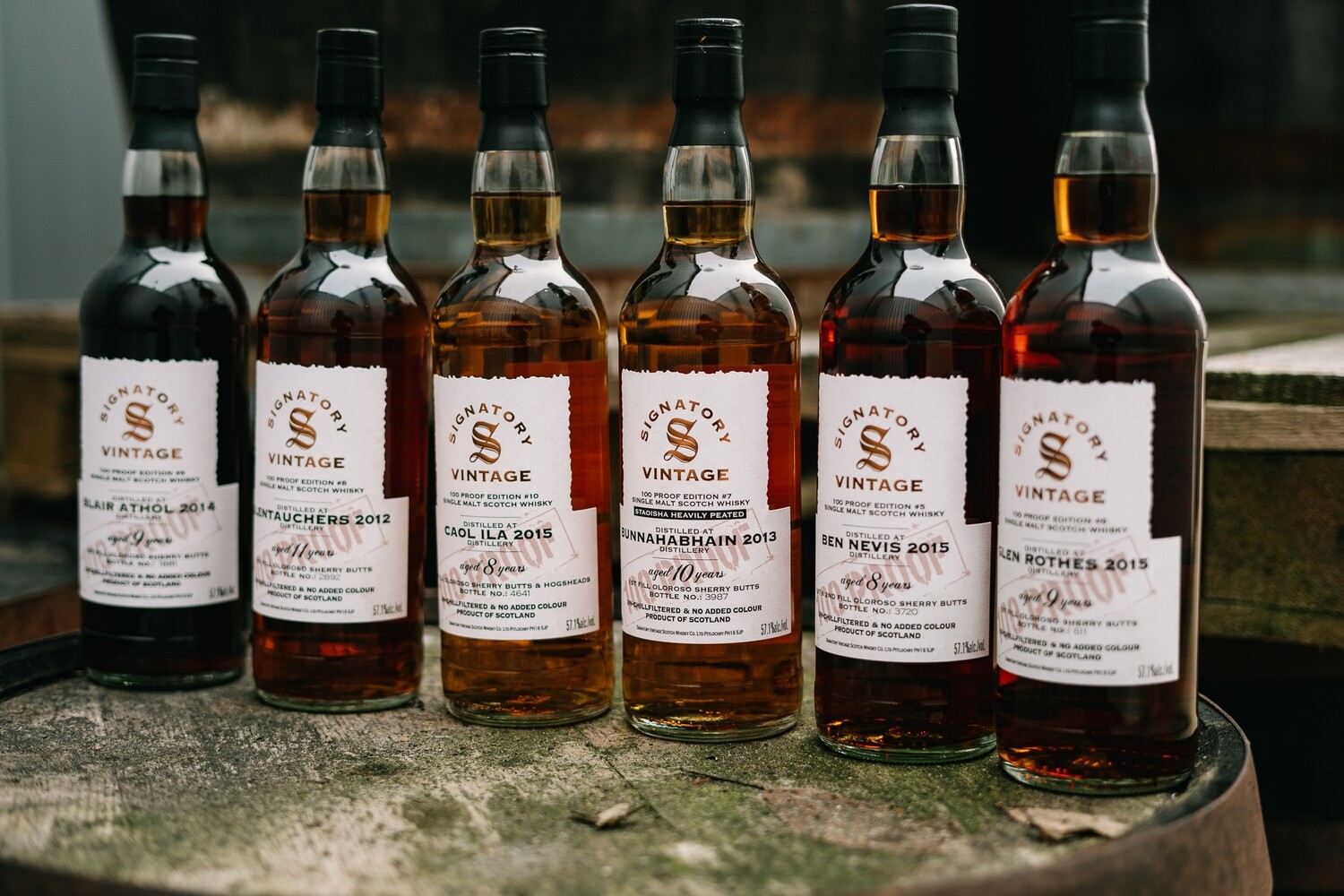 Glentauchers 11 Jahre - 2012/2023 - Signatory 100% Proof #8 - 57,1% Glentauchers 11 Jahre - 2012/2023 - Signatory 100% Proof #8 - 57,1%
