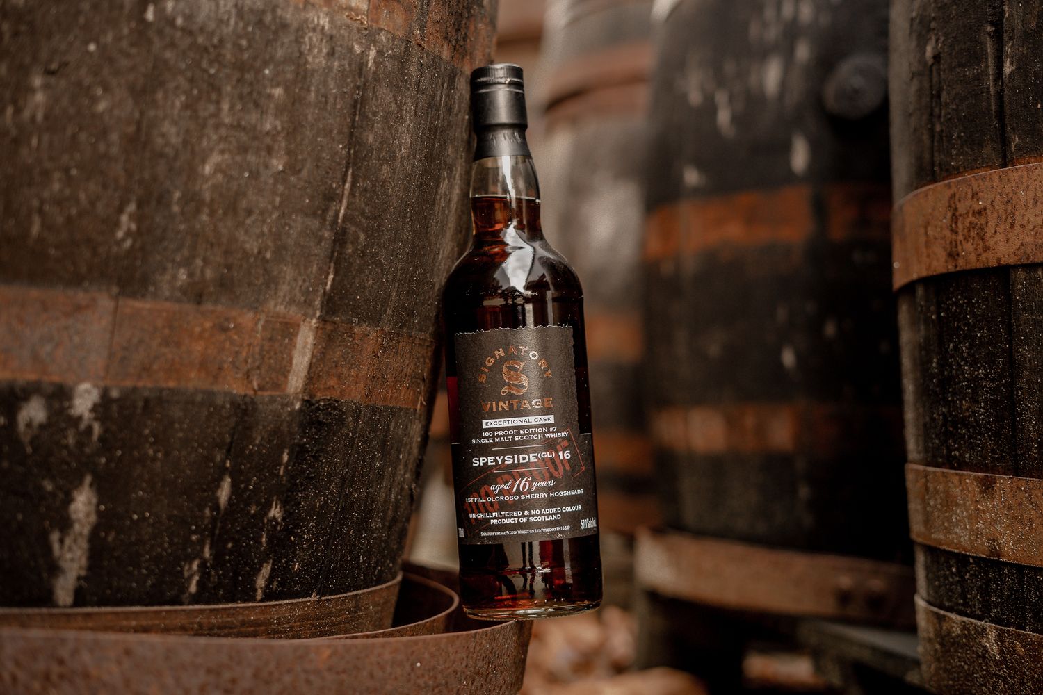 Speyside (GL) - 16 Jahre -  Signatory 100% Exceptionals #7 - 57,1% - 1.Fill Sherry